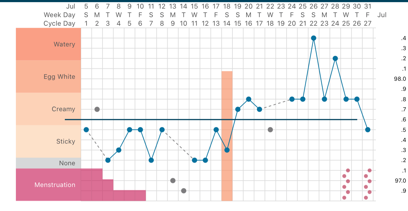 Basal Body Temperature 101 (How to Track Your Cycle)