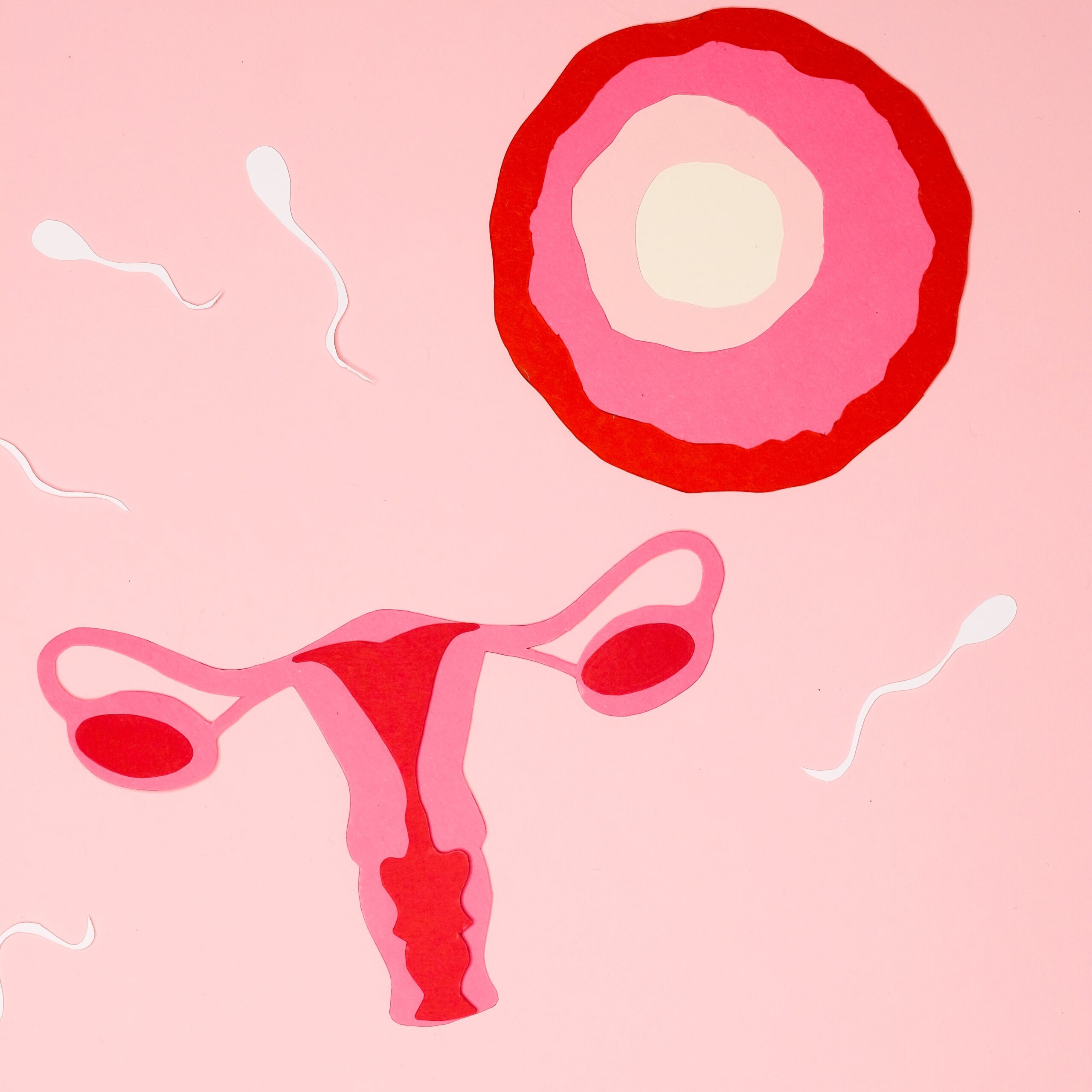 Three (Non-Hormonal) Reasons You Might Not Be Ovulating