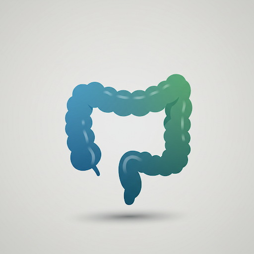 How Gut Health Affects Hormone Balance
