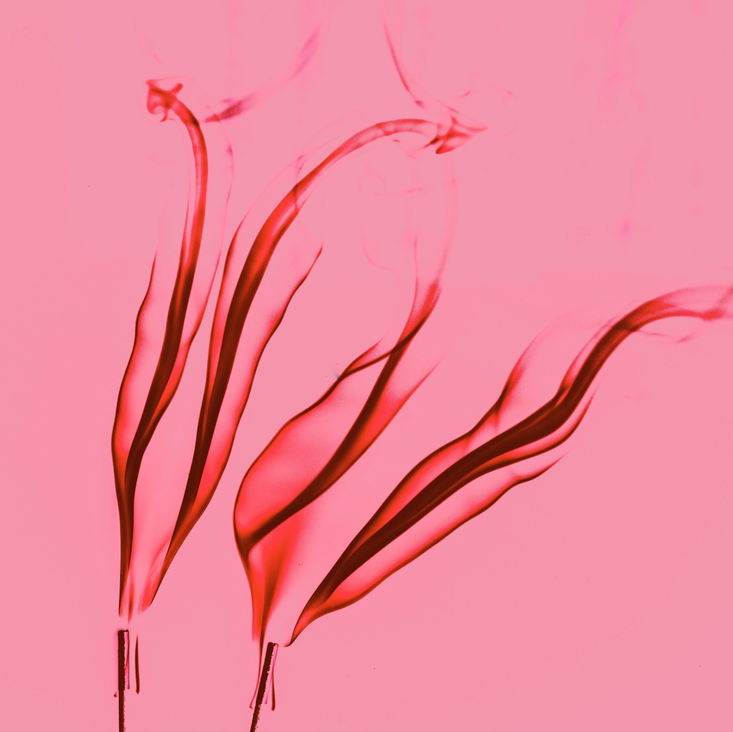 Progesterone Deficiency (the delicate relationship between stress and fertility)