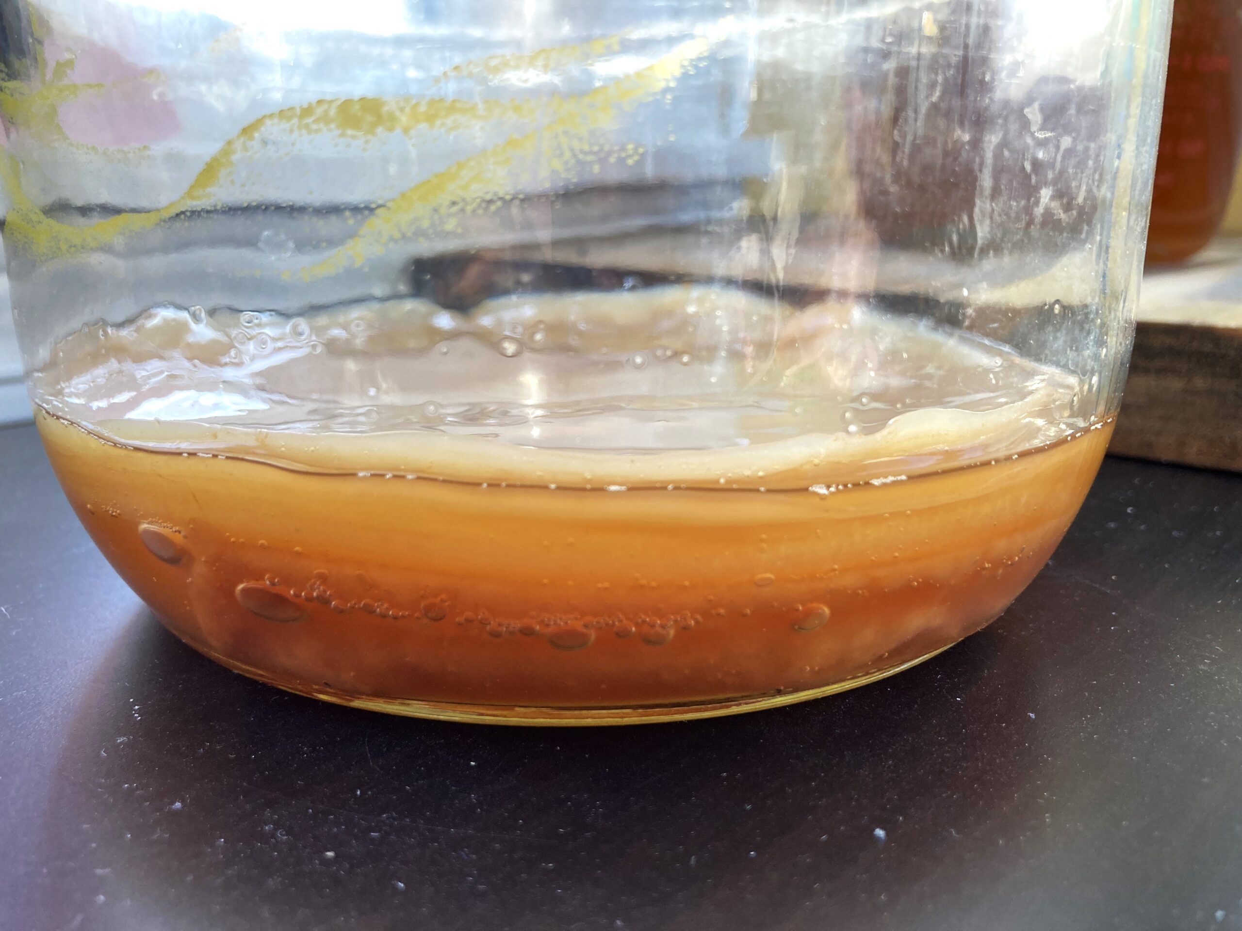 How to Make a SCOBY Hotel